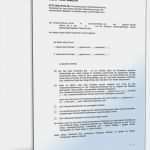 Testament Vorlage Alleinerbe Pdf Erstaunlich Testament Vorlage Pdf – Vorlagen Komplett