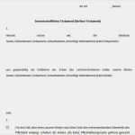 Testament Vorlage Alleinerbe Pdf Inspiration Berliner Testament Muster Download