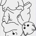 Testament Vorlage Ehepartner Neu 42 Schön Bilder Testament Muster Kostenlos Ausdrucken