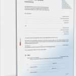 Testament Vorlage Pdf Schönste sonstige