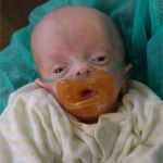 Testament Vorlagen Gratis Angenehm Berliner Testament Muster Gratis Download Testament Muster