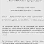 Testament Vorlagen Lebenspartner Bewundernswert 46 Erstaunlich Vorlage Testament Handschriftlich Muster