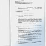 Testament Vorlagen Lebenspartner Bewundernswert Beliebte Downloads • Testamente Dokumente & Vorlagen