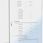 Testament Vorlagen Lebenspartner Bewundernswert Berliner Testament Ein Ragene Lebenspartner Einheitslösung