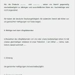 Testament Vorlagen Lebenspartner Erstaunlich Testament Berliner Testament Muster Und Vorlagen