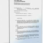 Testament Vorlagen Lebenspartner Fabelhaft Beliebte Downloads • Testamente Dokumente & Vorlagen