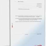 Testament Vorlagen Lebenspartner Hübsch Testament Mit Lebensgefährten Als Alleinerbe