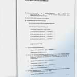 Testament Vorlagen Lebenspartner Luxus sorgerechtstestament Für Alleinerziehende • De Testament