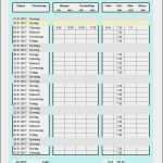 Testdokumentation Vorlage Excel Best Of 52 Beste Vorlage Zur Dokumentation Der Täglichen