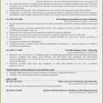 Testplan Vorlage Elegant 18 Testplan Vorlage Vorlagen123 Vorlagen123