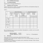 Testprotokoll software Vorlage Erstaunlich Schön Testbericht Vorlage Fotos Dokumentationsvorlage