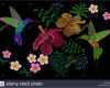 Textildruck Vorlagen Genial Kolibri Um Blumen Plumeria Hibiscus Exotischen Tropischen