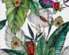 Textildruck Vorlagen Großartig Willartes … Botanic Illustrations