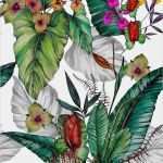 Textildruck Vorlagen Großartig Willartes … Botanic Illustrations