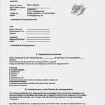 Tfp Vertrag Dsgvo Vorlage Elegant Bodo J Tfp Vertrag