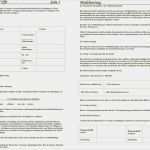 Tfp Vertrag Dsgvo Vorlage Fabelhaft Tfp Vertrag