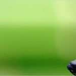 Thai Massage Gutschein Vorlage Erstaunlich Berlin Gutschein Verschenken Kime