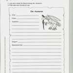 Theaterstück Vorlage Großartig Miko Verlag Lesen & Kunst