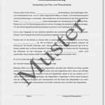 Therapiebericht Logopädie Vorlage Beste Einverständniserklärung F Foto Und Aufnahmen