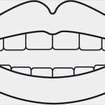 Therapiebericht Physiotherapie Vorlage Erstaunlich Lippenstempel "e" Praxisbedarf Shop Buchner