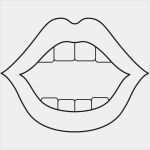 Therapiebericht Physiotherapie Vorlage Süß Lippenstempel "neutral" Praxisbedarf Shop Buchner