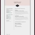 Ticket Vorlage Zum Bearbeiten Cool Ticket Vorlage Zum Bearbeiten Kostenlos 23 Brillant