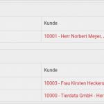 Tierarzt Rechnung Vorlage Elegant Dashboard Debevet Cloud Tierarzt Und Praxis software