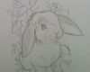 Tierzeichnungen Vorlagen Best Of Bunny Tattoo Google Search … Tattoo Idea