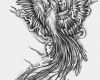 Tierzeichnungen Vorlagen Beste Fire Phoenix Tattoo Designs Tattoo Phoenix