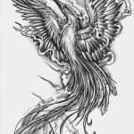 Tierzeichnungen Vorlagen Beste Fire Phoenix Tattoo Designs Tattoo Phoenix