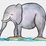 Tierzeichnungen Vorlagen Bewundernswert Kunst Bild themen Tiere Tiere Zeichnen