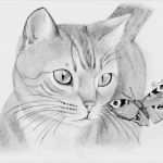 Tierzeichnungen Vorlagen Einzigartig Kunstwerk Katze Und Schmetterling Von NinÄngel