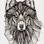 Tierzeichnungen Vorlagen Fabelhaft Wolf Drawings Buscar Con Google Tattoo