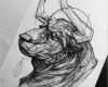 Tierzeichnungen Vorlagen Inspiration Bull Tatto Animals
