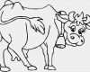 Tierzeichnungen Vorlagen Inspiration Kuh Ausmalbild – Ausmalbilder Für Kinder