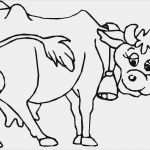 Tierzeichnungen Vorlagen Inspiration Kuh Ausmalbild – Ausmalbilder Für Kinder