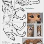 Tierzeichnungen Vorlagen Schönste Bildergebnis Für Vorlagen Holz Schnitzen