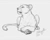 Tierzeichnungen Vorlagen Süß Lioness Tattoos • Tattoo Ideas Pinterest