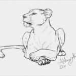 Tierzeichnungen Vorlagen Süß Lioness Tattoos • Tattoo Ideas Pinterest