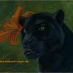 Tierzeichnungen Vorlagen Wunderbar Thams Tierzeichnungen Tierportraits Verschiedener Tiere