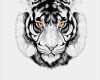 Tiger Tattoo Vorlagen Angenehm 1001 Ultra Coole Tiger Tattoo Ideen Zur Inspiration