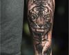 Tiger Tattoo Vorlagen Best Of Tiger Tattoo