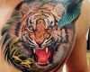 Tiger Tattoo Vorlagen Cool top 12 Tiger Tattoos Tiger Tattoos Pinterest