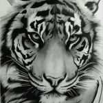 Tiger Tattoo Vorlagen Elegant Tiger Tattoo Vorlagen Cool Tattoo Tiger Ink Pinterest