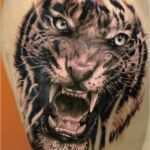Tiger Tattoo Vorlagen Erstaunlich Tattoo Köln Tattoo Tiger Tattoo