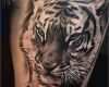 Tiger Tattoo Vorlagen Großartig Tiger Tattoo Vorlagen Angenehm 1001 Ultra Coole Tiger