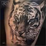 Tiger Tattoo Vorlagen Großartig Tiger Tattoo Vorlagen Angenehm 1001 Ultra Coole Tiger