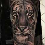 Tiger Tattoo Vorlagen Neu 1001 Ultra Coole Tiger Tattoo Ideen Zur Inspiration