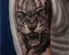 Tiger Tattoo Vorlagen Schön Tiger Tattoo Mann Oberarm Oberarmtattoo Weißes T Shirt