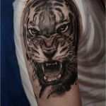Tiger Tattoo Vorlagen Schön Tiger Tattoo Mann Oberarm Oberarmtattoo Weißes T Shirt